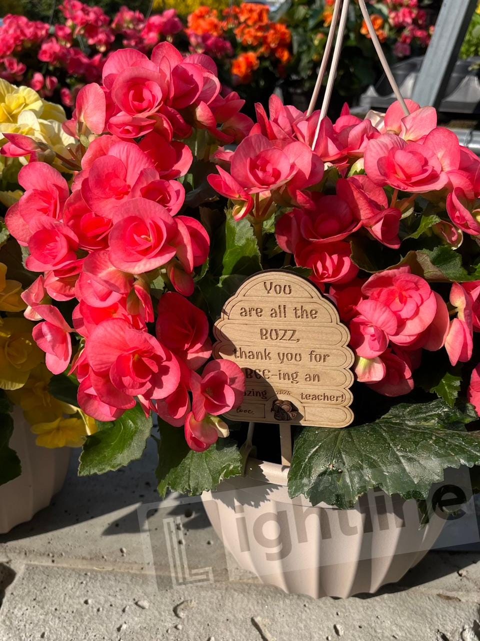 Bee Hive Plant Marker: Teacher/Mom Appreciation Gift